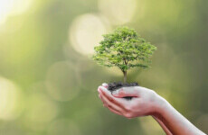 justETF Nachhaltig Weltportfolios: verantwortungsbewusst global investieren