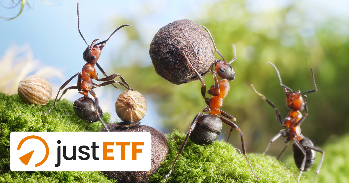 Weltweite Small CapETFs Welcher ist der beste?