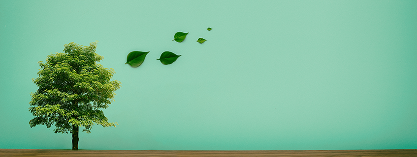 ESG-ETFs: Kleiner Rückschlag oder der Anfang vom Ende?