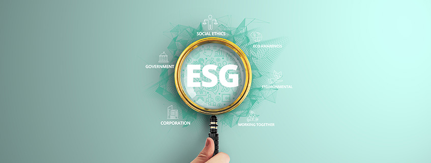 Critères et labels ESG : décrypter les ETF durables et éviter le greenwashing
