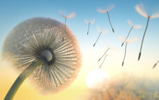 La strategia core-satellite