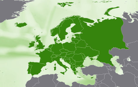 Europa-ETFs im Vergleich