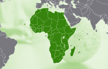 Die besten Indizes für Afrika-ETFs