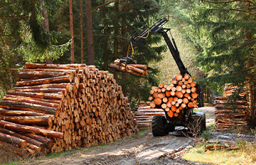 Les meilleurs ETF pour le secteur du bois